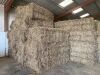 20 x Clover Hay - 120x70