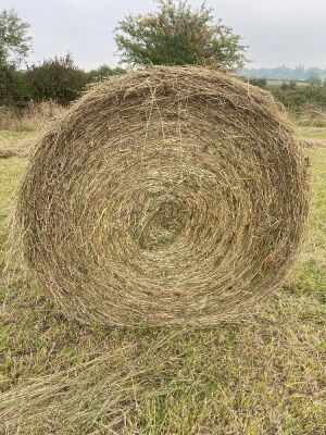 10 x Clover Haylage - 4ft Round