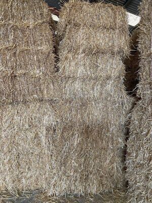 200 x Oat Straw Bales - Conventional