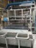 IMS Deltamatic SPA automotive interior thermo form&nbsp;moulding press - 12
