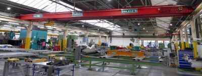 Pelloby 2 x2.5T Overhead Gantry Crane