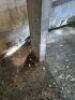Temporary Warehouse Approx 31.4 m x 13.5m - 16