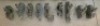 Assorted Dixon Quick Change Tool Holders - 2