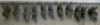 Assorted Dixon Quick Change Tool Holders