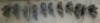 Assorted Dixon Quick Change Tool Holders - 2