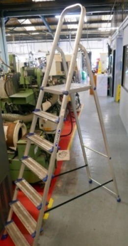 Werner Folding Step Ladder