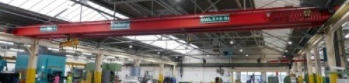 Pelloby 2 x2.5T Overhead Gantry Crane