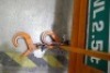 Pelloby Adjustable 2.5t Lifting Beam - 3