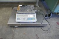 ADAM Batch Scales