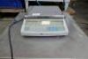 ADAM Batch Scales - 2