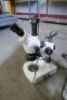 Microscope