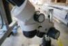 Microscope - 2