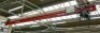 Pelloby Overhead Gantry Crane 500Kg Verlinde Electric Hoist, 11000mm Long x 10000mm Wide x 4400mm High - 2