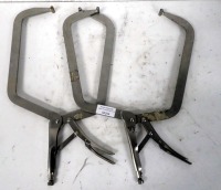 Pair of Large Mole Grips
