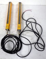 Pair of Light Guards