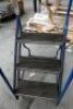 Mobile Safety Steps - 2