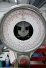 Berkel 18kg Scales - 2