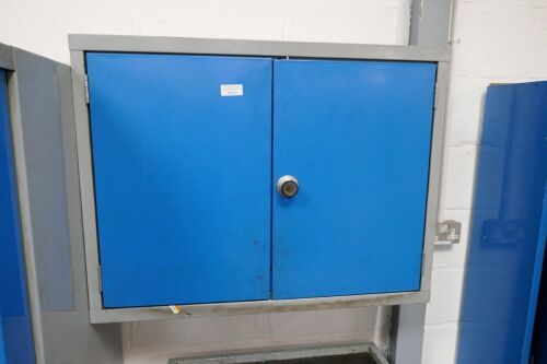 Wall Mounted Steel Cabinet