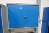 Wall Mounted Steel Cabinet