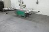 Altendorf F45 panel saw - 4
