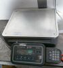 Pallet Scales - 3