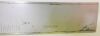 Mitutoyo Vernier Calliper. - 3