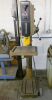 Startrite EFI Gear Head Drill - 2